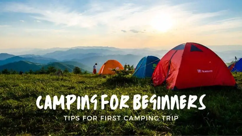 Camping For Beginners: Essential Camping Gear, Tips, and More